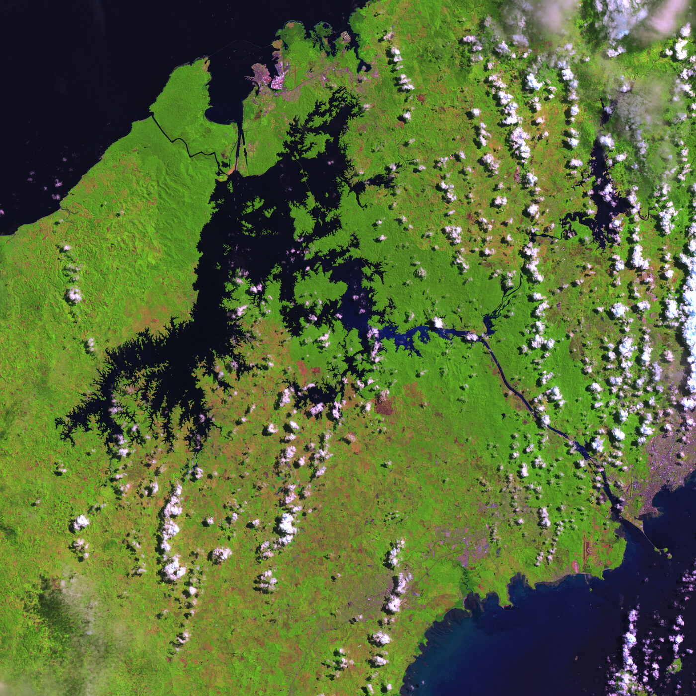 Satellite view of the Panama Canal watershed showing Gatun Lake, its branching arms and the surrounding tropical forest that regulates flow into the reservoir