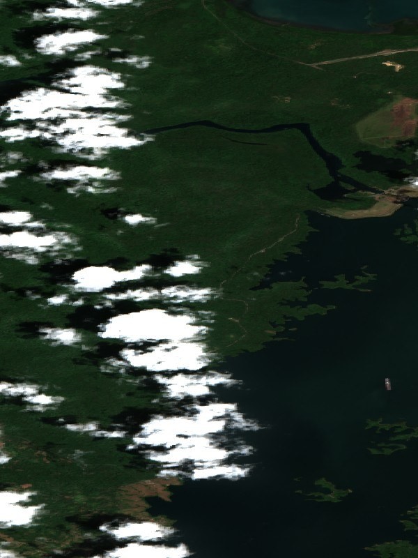 Gatun Lake northern arm reduced to a narrow, exposed-bank channel, Sentinel-2 image