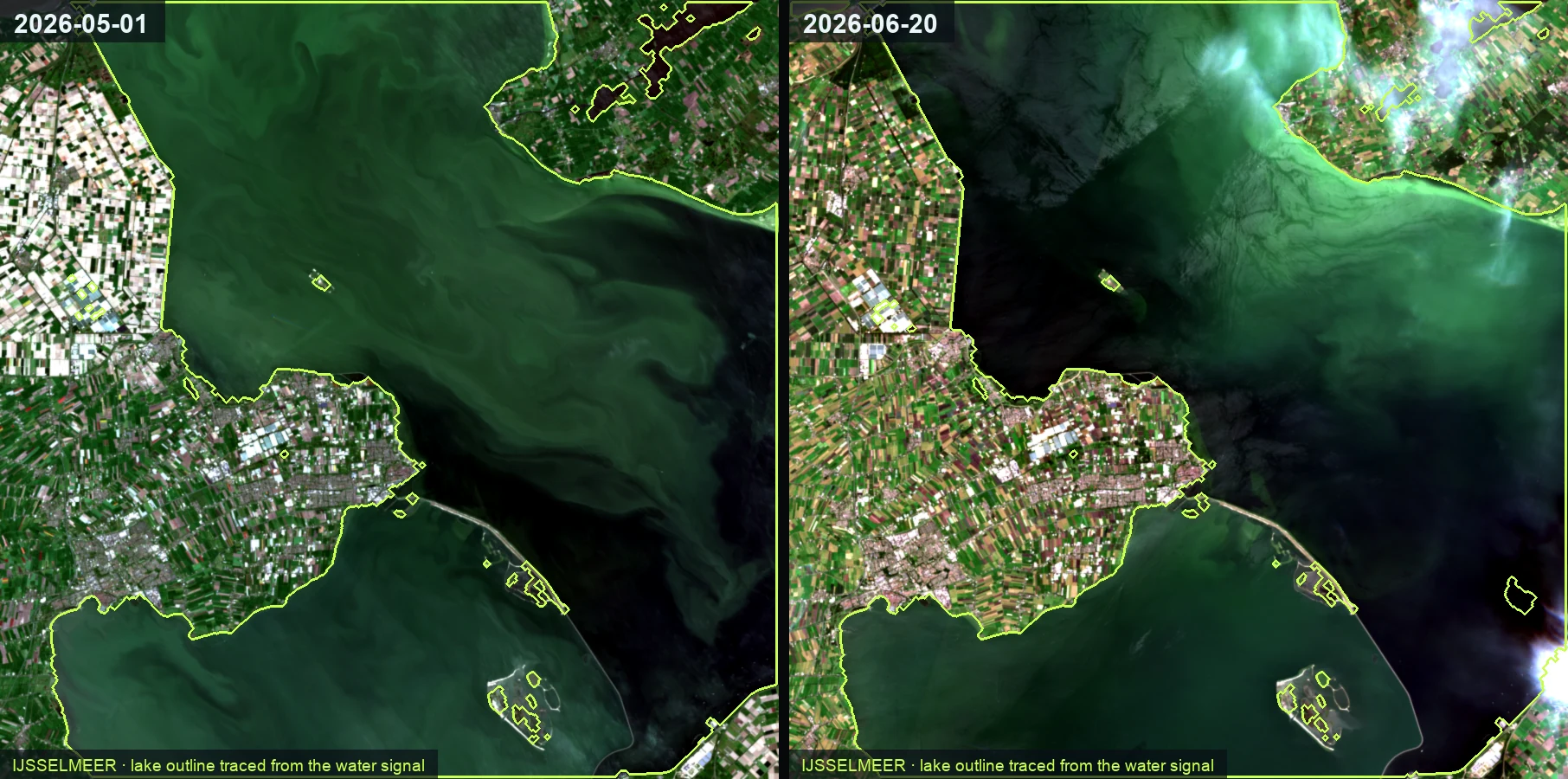 IJsselmeer, the Netherlands, on two 2026 satellite passes five weeks apart; the lake outline is traced from the water signal and the water visibly greens as an algal bloom builds