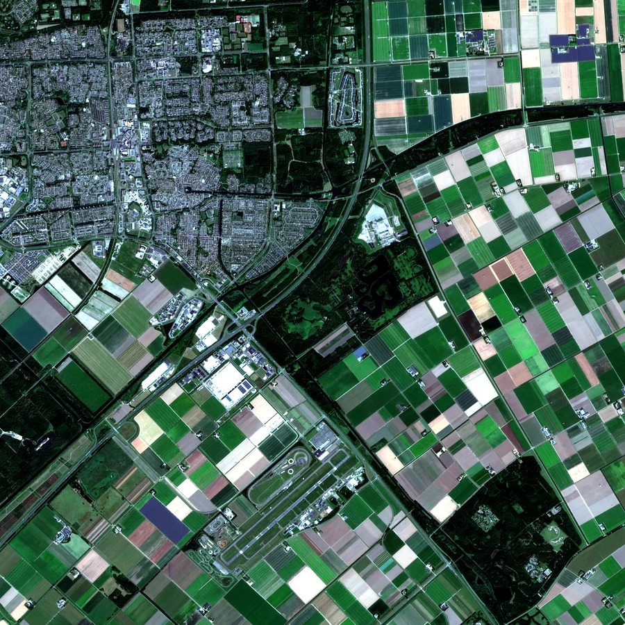 The same Flevoland parcels in true colour: the scene the spectral view then reveals